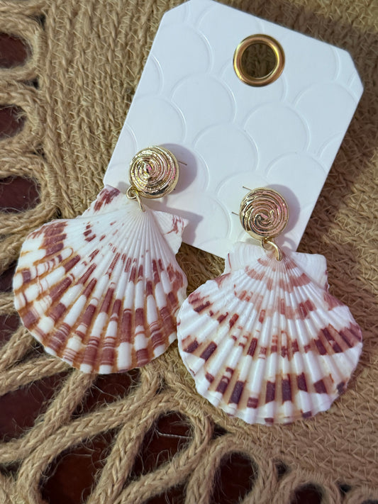 Sunset Scallop Earring